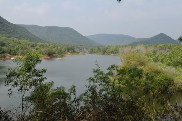 Kambalakonda Wildlife Sanctuary_5
